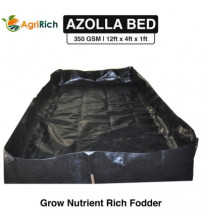 AgriRich Azolla Cultivation Bed 350 GSM 12ft x 4ft x 1ft (Black)